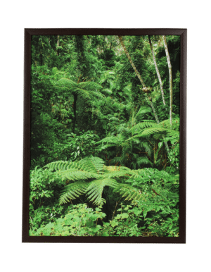 green scene canvas 1.png